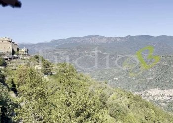 imm_14060-1024-.jpg - Appartamento via Gioberti, snc, Perinaldo - foto 15