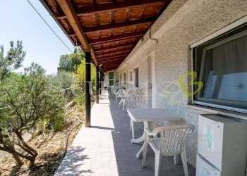 Giardino - Villa Bordighera - foto 4