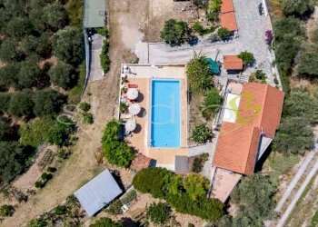 Piscina - Villa Bordighera - foto 11