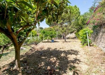 Terreno - Villa Bordighera - foto 15