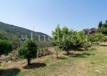 Terreno - Villa Bordighera - foto 16