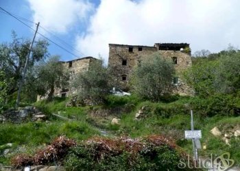 Terreno - Rustic Peverei, Seborga - photo 1