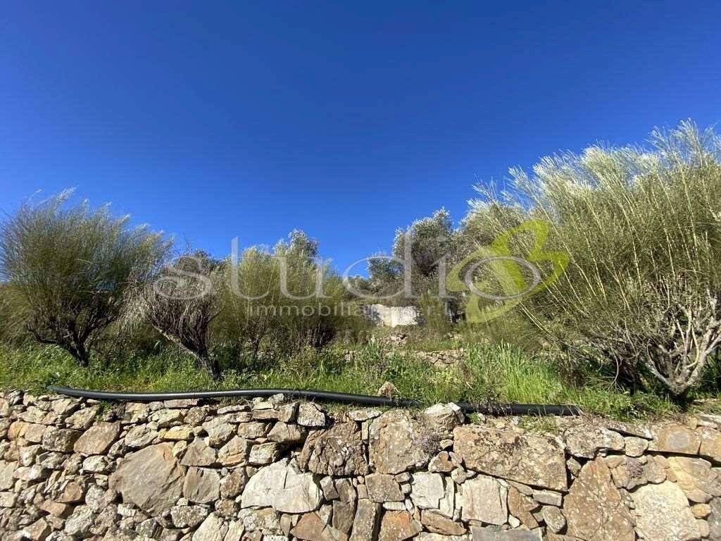 Building land Seborga - photo 3