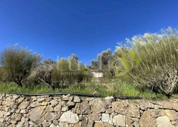 Terreno edificabile Seborga - foto 3