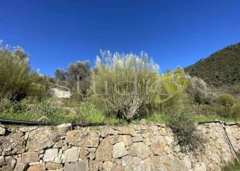 Terreno edificabile Seborga - foto 4