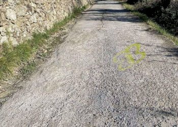 Terreno edificabile Seborga - foto 5