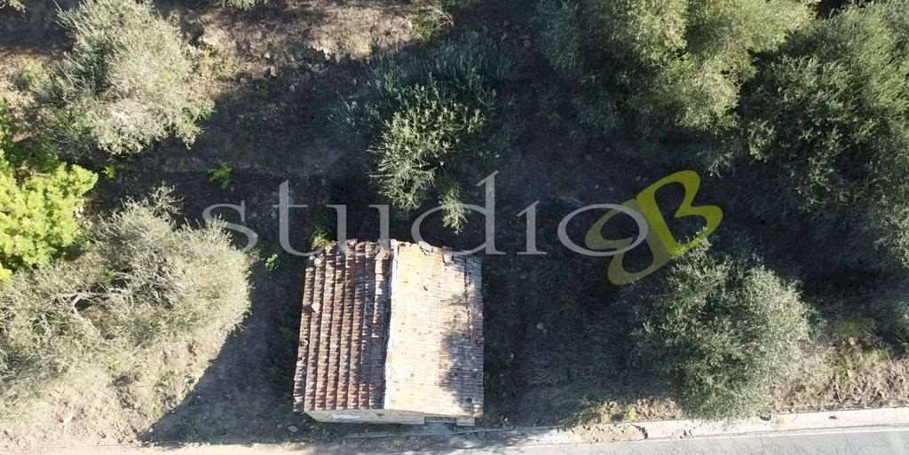 imm_14063-1024-.jpg - Rustic strada Provinciale, snc, Perinaldo - photo 2