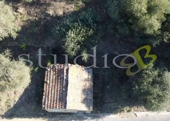 imm_14063-1024-.jpg - Rustico strada Provinciale, snc, Perinaldo - foto 2