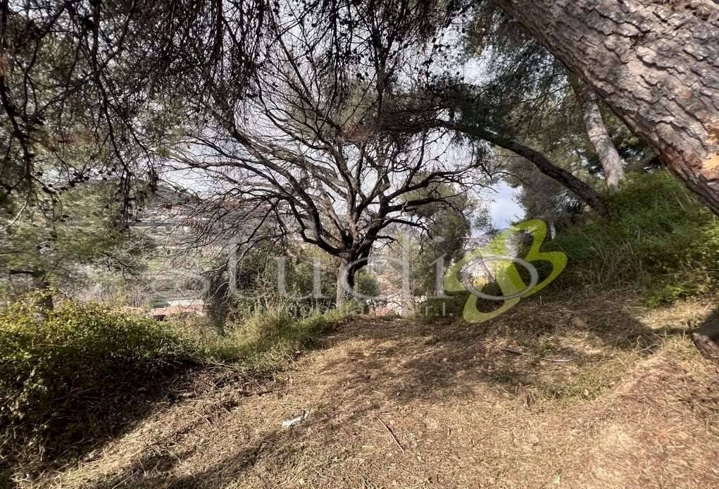 imm_11193-1021-.jpg - Terreno edificabile Località Merogli, snc, Bordighera - foto 2