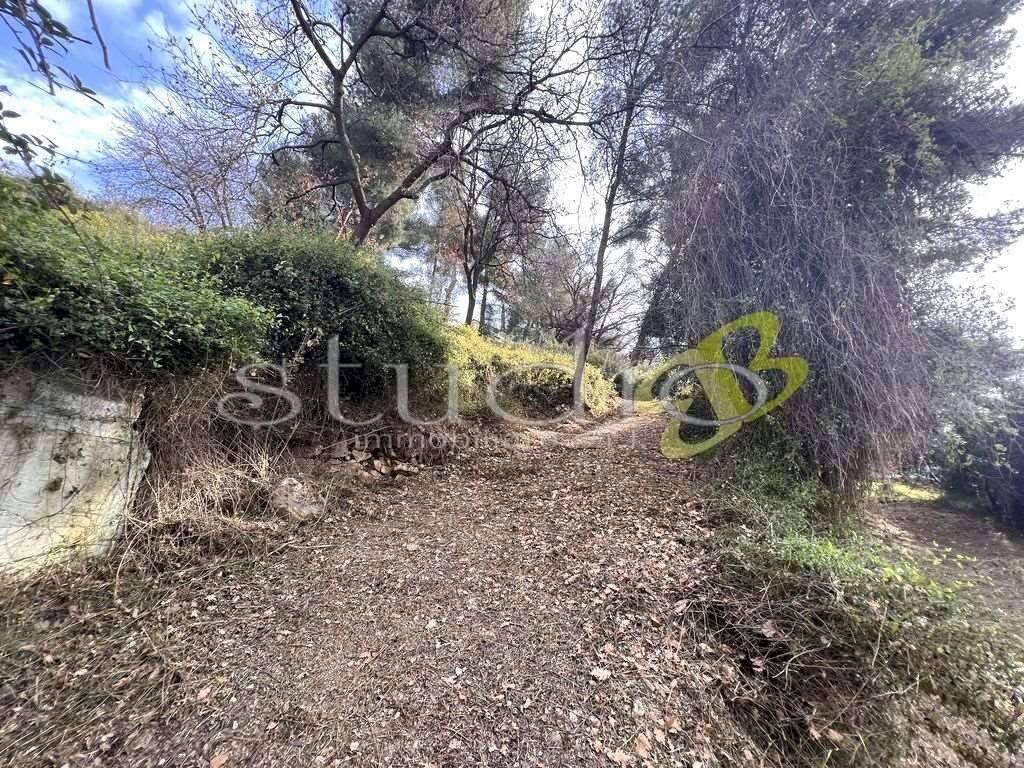 imm_11194-1024-.jpg - Terreno edificabile Località Merogli, snc, Bordighera - foto 3
