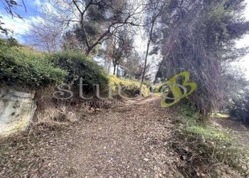 imm_11194-1024-.jpg - Terreno edificabile Località Merogli, snc, Bordighera - foto 3