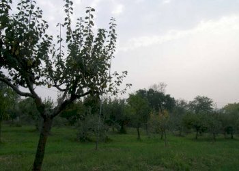 Rustico Rimini - foto 7