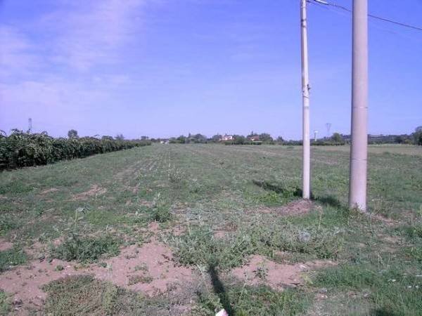 Terreno agricolo Sant'ermete, Santarcangelo di Romagna - foto 2