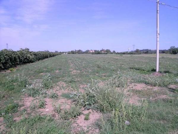 Terreno agricolo Sant'ermete, Santarcangelo di Romagna - foto 3