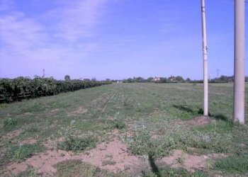 Terreno agricolo Sant'ermete, Santarcangelo di Romagna - foto 1