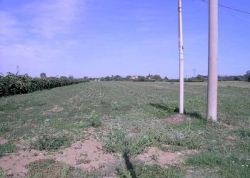 Terreno agricolo Sant'ermete, Santarcangelo di Romagna - foto 2