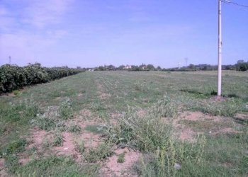 Terreno agricolo Sant'ermete, Santarcangelo di Romagna - foto 3