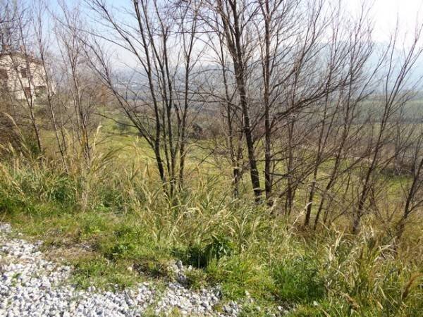 Terreno edificabile via delle Cave, 6, Poggio Torriana - foto 1