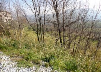 Terreno edificabile via delle Cave, 6, Poggio Torriana - foto 1