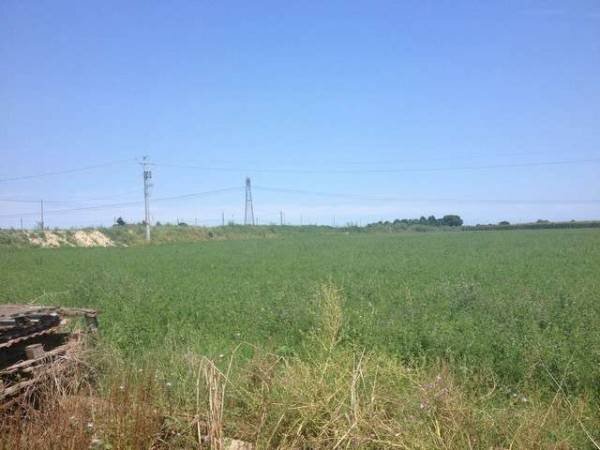 Rustic Località Sala, Cesenatico - photo 2