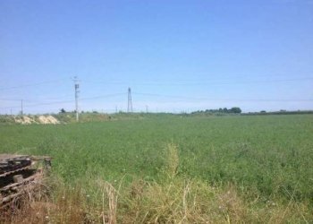 Rustico Località Sala, Cesenatico - foto 2