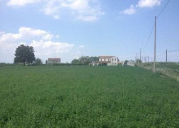 Rustico Località Sala, Cesenatico - foto 4