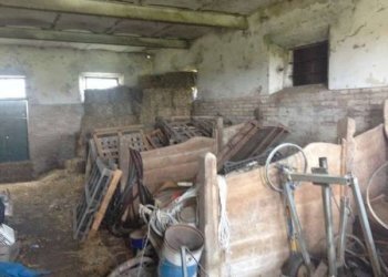 Rustico Località Sala, Cesenatico - foto 7