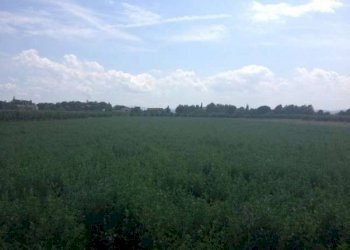 Rustico Località Sala, Cesenatico - foto 9