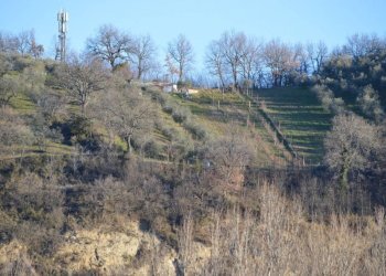 terreno agricolo - Terreno agricolo San Leo - foto 1