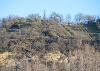 terreno agricolo - Terreno agricolo San Leo - foto 2