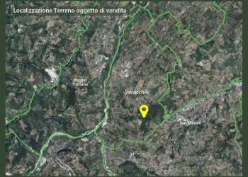 Confini - Terreno agricolo via Bruciato di Sotto, Verucchio - foto 2