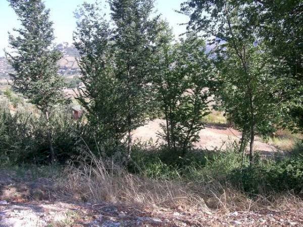 Terreno edificabile Torriana, Poggio Torriana - foto 2