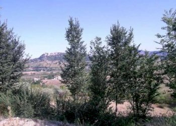 Terreno edificabile Torriana, Poggio Torriana - foto 1