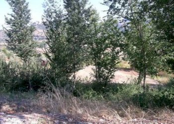 Terreno edificabile Torriana, Poggio Torriana - foto 2