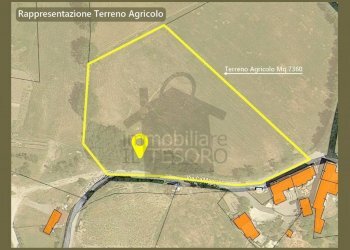 Terreno - Rustico via Castello, Pietrarubbia - foto 25