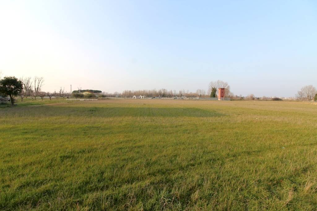 Terreno agricolo - Terreno agricolo Rimini - foto 2