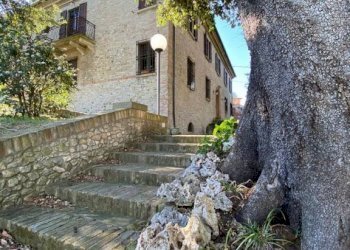 esterno - Villa via Covignano, 212, Rimini - foto 6