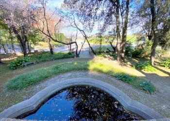 esterno - Villa via Covignano, 212, Rimini - foto 15
