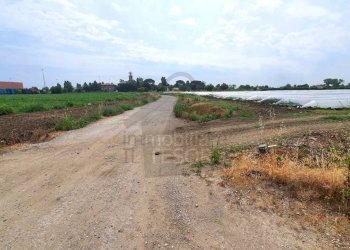 Esterno - Casa indipendente via Bargellona, Santarcangelo di Romagna - foto 8