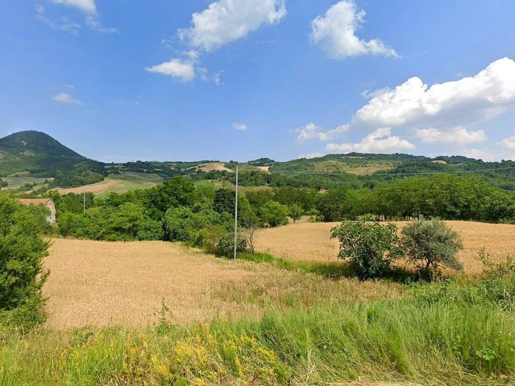 Zona - Terreno agricolo strada Provinciale Montemaggio, San Leo - foto 3