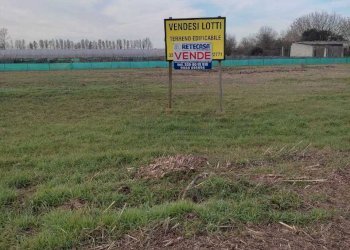 IMG-20240116-WA0004.jpg - Terreno edificabile Via Cavalieri di Vittorio Veneto, Albaredo d'Adige - foto 4