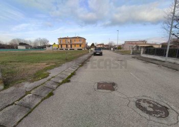 IMG-20240116-WA0005.jpg - Terreno edificabile Via Cavalieri di Vittorio Veneto, Albaredo d'Adige - foto 5