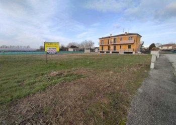 IMG-20240116-WA0008.jpg - Terreno edificabile Via Cavalieri di Vittorio Veneto, Albaredo d'Adige - foto 8