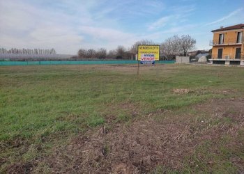 IMG-20240116-WA0009.jpg - Terreno edificabile Via Cavalieri di Vittorio Veneto, Albaredo d'Adige - foto 9