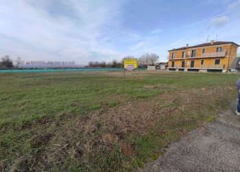 IMG-20240116-WA0010.jpg - Terreno edificabile Via Cavalieri di Vittorio Veneto, Albaredo d'Adige - foto 10