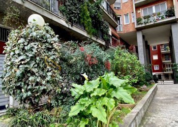 WhatsApp Image 2025-05-19 at 10.12.34 (1).jpeg - Two-room apartment Via Messina 55, Milano - photo 29