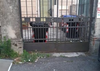 thumbnail_454cc0cd-054e-47fb-bbd3-f75bbfad9868.jpg - Gelateria Piazza Vittorio Veneto 8, Carrara - foto 6