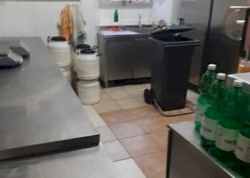 thumbnail_c94ee296-97d6-4e6b-9cb4-a7daed73c416.jpg - Gelateria Piazza Vittorio Veneto 8, Carrara - foto 8