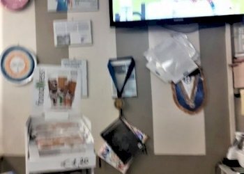 thumbnail_d6051b74-be2c-4b7c-bafb-65a356c9032f.jpg - Gelateria Piazza Vittorio Veneto 8, Carrara - foto 9