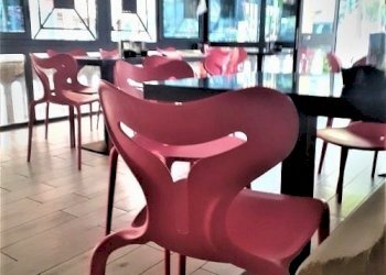 thumbnail_f0f45fd9-40ad-411a-b339-75e3b4f73668.jpg - Gelateria Piazza Vittorio Veneto 8, Carrara - foto 10